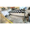 Image 2 : DUMBBELL RACK WITH DUMBELLS.
