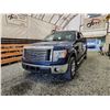Image 2 : 2010 FORD F150, BLUE, 338704 KMS, 4X4. - DB58145