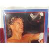 Image 2 : Donnie Lalonde Boxing Card