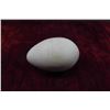 Image 4 : Ostrich Egg + Unkown Egg 