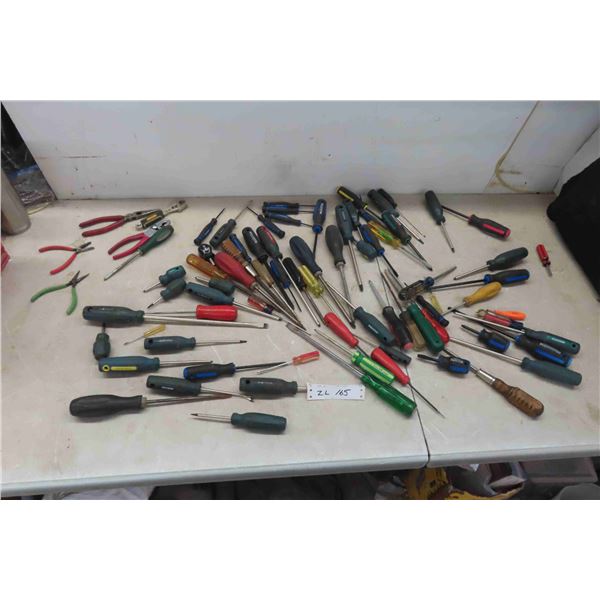 Assortment of Screwdrivers + Pliers 
