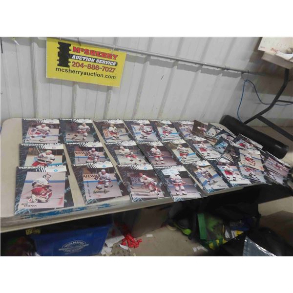 Large Lot of Vintage Winnipeg Jets 1990-91 Program