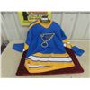 Image 1 : Vintage St.Louis Blues Kelly Chase Mens Medium CCM 