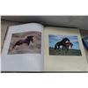 Image 2 : 4 Hardcover Books on Horses