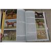 Image 5 : 4 Hardcover Books on Horses