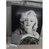 Image 2 : Marilyn Photos / Pictures 15"x19" 24"x24"
