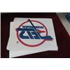 Image 2 : Winnipeg Jets Legacy Vintage Logo Miniature 