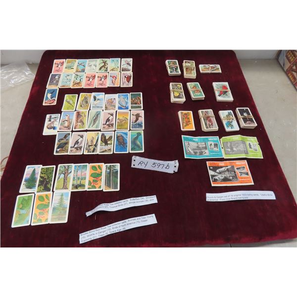 Red Rose Tea Collector Cords:Butterflies, Wild Flowers