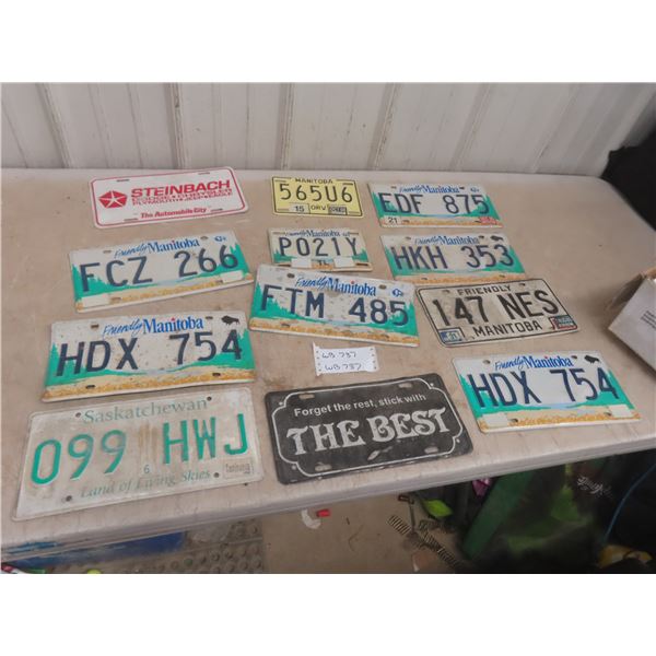 12 x License Plates 