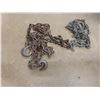Image 5 : 6x Chains + Hooks 