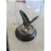 Image 2 : Butterfly in Glass Dome with Wood Base 