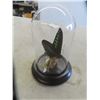 Image 3 : Butterfly in Glass Dome with Wood Base 