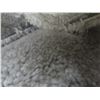 Image 2 : Draus Tanami Morning Dew White/Beige Carpet 