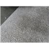 Image 2 : Low Pile Beige Carpet 12ft x 13ft 9''  Has a Small Fixable Tear