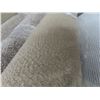 Image 2 : Kennedy Podium Nerts Carpet 12ft x 9ft