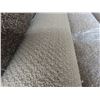 Image 2 : Shaw The Pale Beach  Carpet 12ft x 16ft 9''