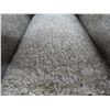 Image 2 : Phenix Baskin Carpet 