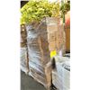 Image 2 : PALLET OF ASSORTED PAINT BRUSHES, STENCILS & MORE