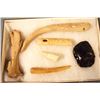 Image 2 : Riker Case: 6 bone artifacts and 1 scraper