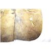 Image 3 : Unmarked bat wing chaps, 32"