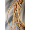 Image 2 : Rawhide braided lariat, approx 35'