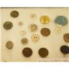 Image 10 : (2) Riker Cases: 10 trade beads, dentilium shells, pottery pieces & 38 buttons, clam shells, copper 