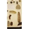Image 12 : (2) Riker Cases: 10 trade beads, dentilium shells, pottery pieces & 38 buttons, clam shells, copper 