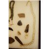 Image 4 : (2) Riker Cases: 10 trade beads, dentilium shells, pottery pieces & 38 buttons, clam shells, copper 