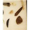 Image 5 : (2) Riker Cases: 10 trade beads, dentilium shells, pottery pieces & 38 buttons, clam shells, copper 