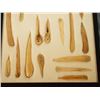Image 10 : 2 Riker Cases: 25 bone awls and quill flatteners & 21 bone awls and quill flatteners