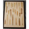 Image 1 : 2 Riker Cases: 25 bone awls and quill flatteners & 21 bone awls and quill flatteners