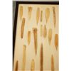 Image 2 : 2 Riker Cases: 25 bone awls and quill flatteners & 21 bone awls and quill flatteners