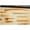 Image 8 : 2 Riker Cases: 25 bone awls and quill flatteners & 21 bone awls and quill flatteners