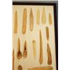 Image 9 : 2 Riker Cases: 25 bone awls and quill flatteners & 21 bone awls and quill flatteners