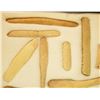 Image 10 : (2) Riker Cases: 28 scrapers & 13 bone tools