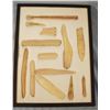 Image 6 : (2) Riker Cases: 28 scrapers & 13 bone tools