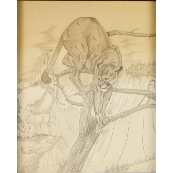 Cuts the Rope, Frank, original charcoal, Mountain Lion, 17" x 14", framed, signed lower right