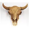 Image 1 : Bison skull, 26"