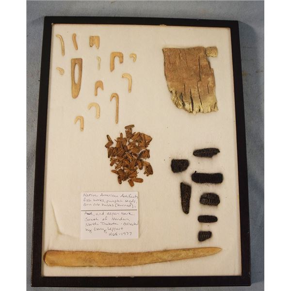 Riker Case: 23 Bone fish hooks, pumpkin seeds and corn cob chars