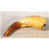Image 2 : (4) Powder horns