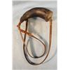 Image 6 : (4) Powder horns