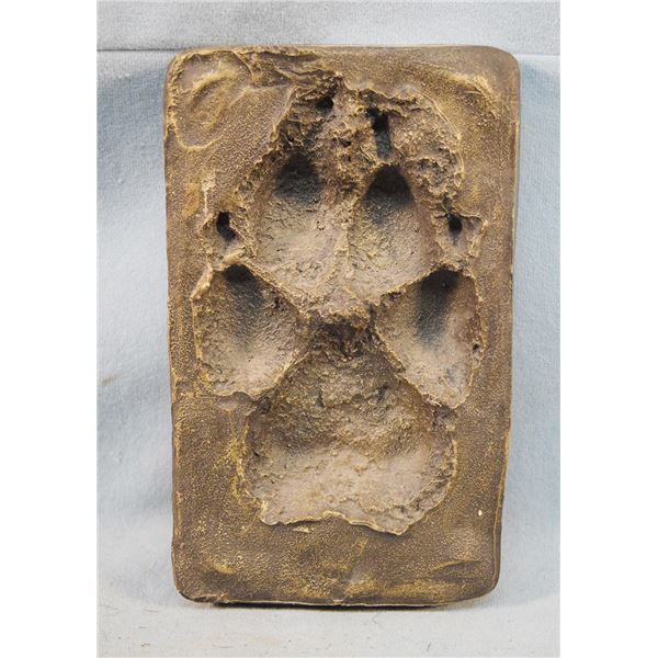 Plaster casting of wolf track, 6"