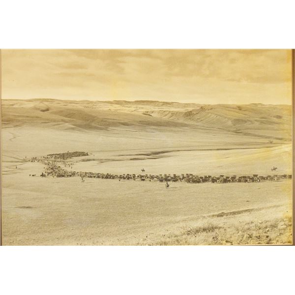Stovall Ranch photo, Gathering Cattle, 16" x 23", framed
