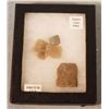 Image 1 : 2 Riker Cases: 4 Native gun flints & 4 Native American knives