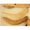 Image 3 : Riker Case: 5 bone scrapers and knives