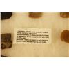 Image 2 : Riker Case: 11 English gun flints