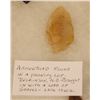 Image 4 : Riker Case: 7 arrowheads