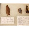 Image 6 : Riker Case: 7 arrowheads