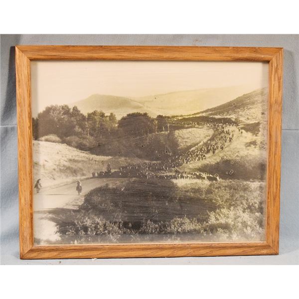 Vintage cattle drive photo, Montana, 11" x 14", framed