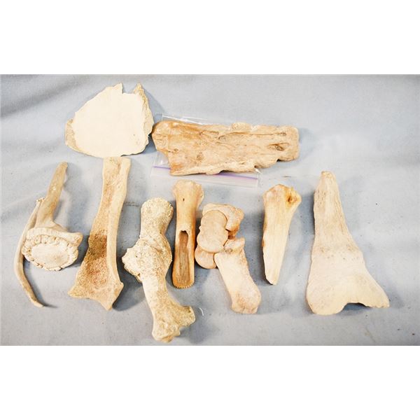 10 pcs: Assortment of bone tools